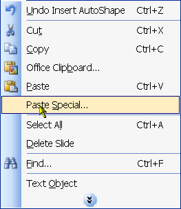 paste special menu