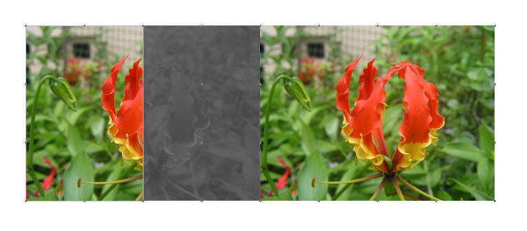 image on the left is cropped from the right to centre