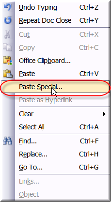 paste special menu